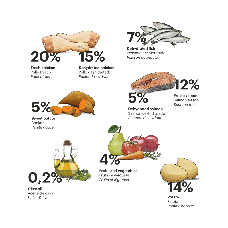 Exclusive Grain Free Cat Kitten Chicken with Fish